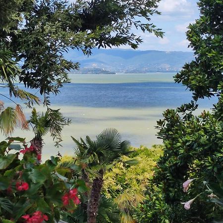 Antica Casa Di Famiglia Ξενοδοχείο Castiglione del Lago Εξωτερικό φωτογραφία