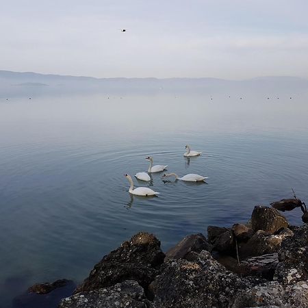 Antica Casa Di Famiglia Ξενοδοχείο Castiglione del Lago Εξωτερικό φωτογραφία