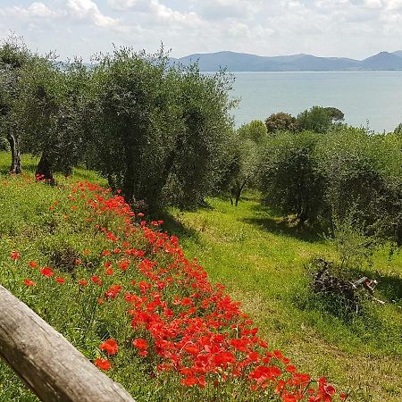 Antica Casa Di Famiglia Ξενοδοχείο Castiglione del Lago Εξωτερικό φωτογραφία