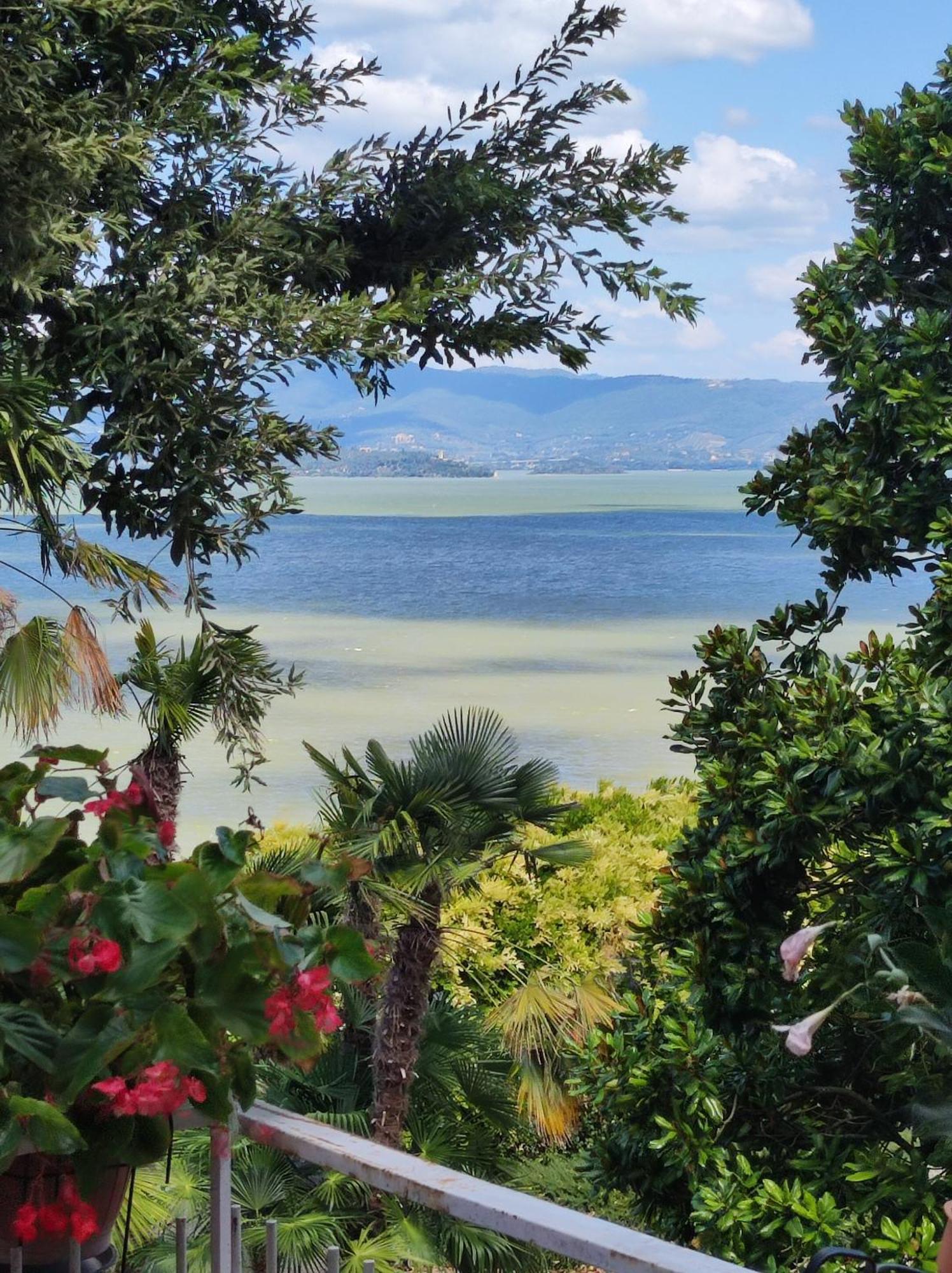 Antica Casa Di Famiglia Ξενοδοχείο Castiglione del Lago Εξωτερικό φωτογραφία
