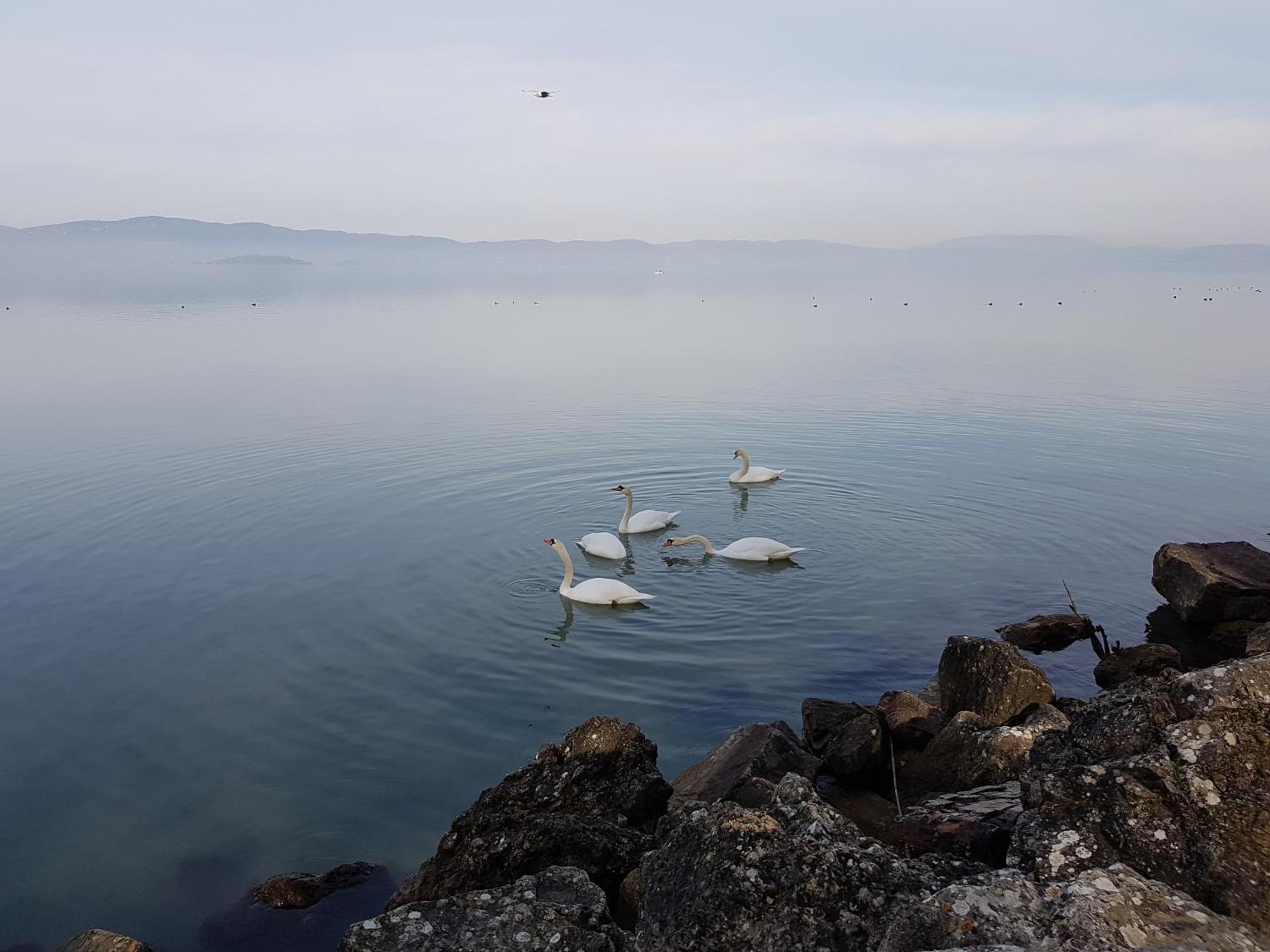 Antica Casa Di Famiglia Ξενοδοχείο Castiglione del Lago Εξωτερικό φωτογραφία