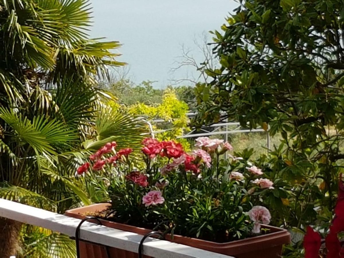 Antica Casa Di Famiglia Ξενοδοχείο Castiglione del Lago Εξωτερικό φωτογραφία