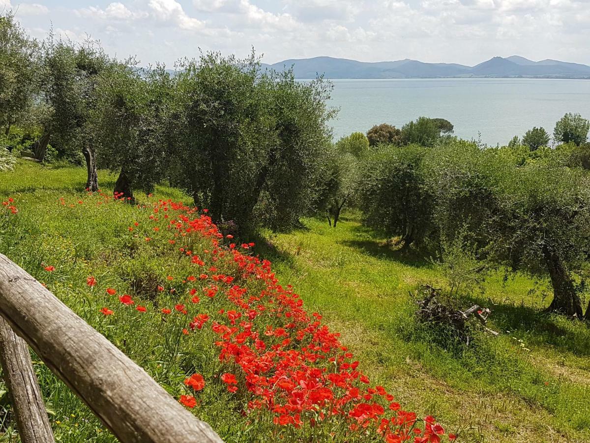 Antica Casa Di Famiglia Ξενοδοχείο Castiglione del Lago Εξωτερικό φωτογραφία